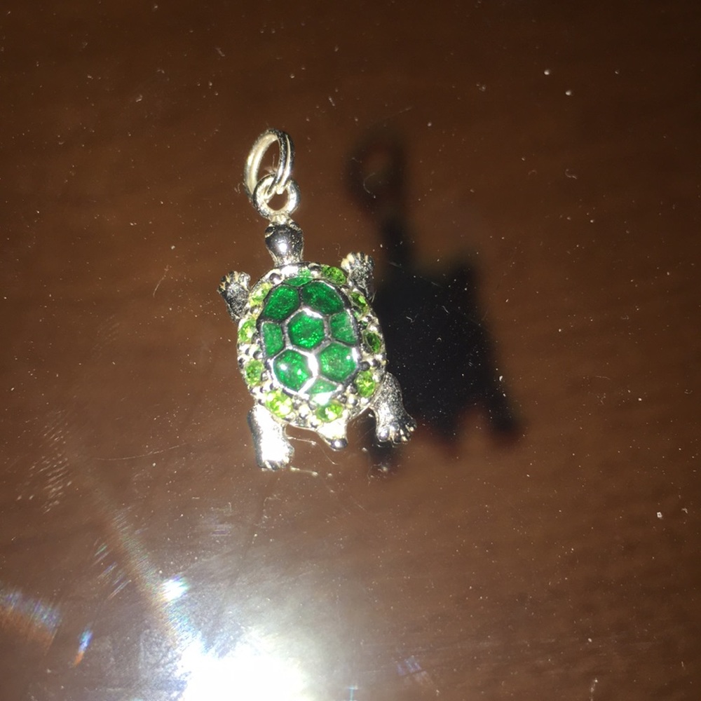 Turtle charm